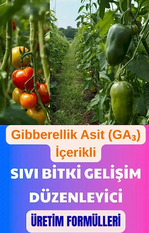 GİBBERELLİK ASİT (GA₃) İÇERİKLİ SIVI BİTKİ GELİŞİM DÜZENLEYİCİLER VE ÜRETİM FORMÜLLERİ
